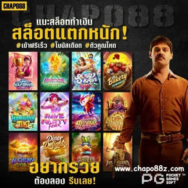 chapo88 เว็บ